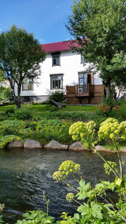 Arbol Guesthouse Хусавик Экстерьер фото